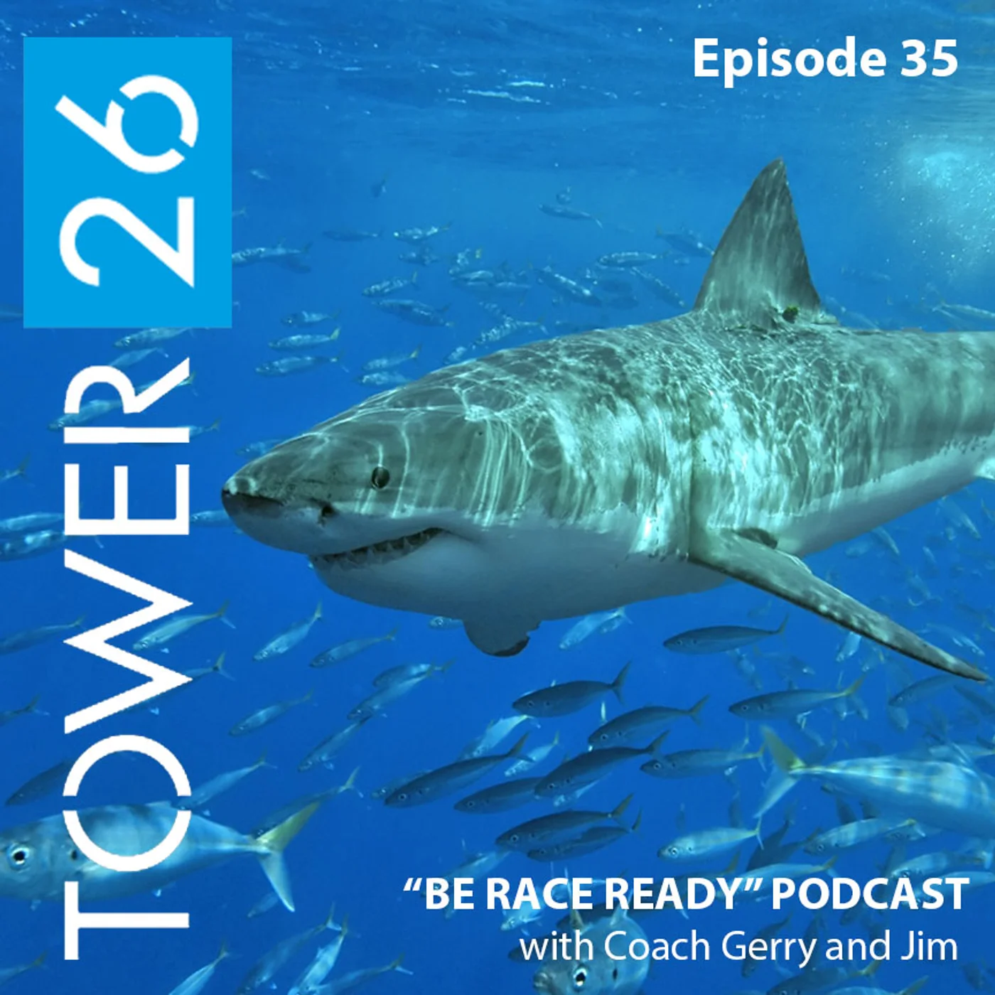 Episode #35: Sharks! How to Keep Them AWAY!!