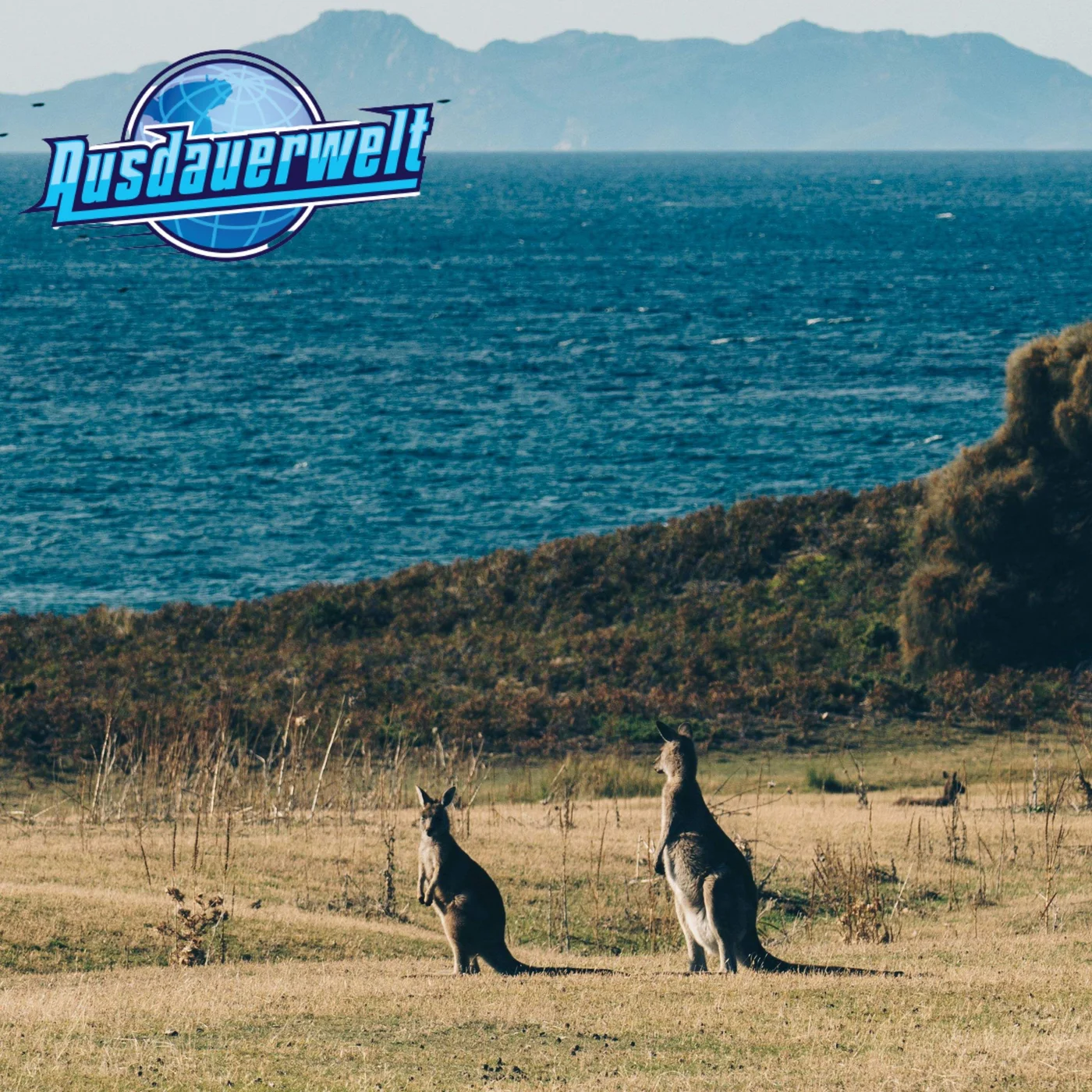 Ironman 70.3 Tasmanien mit Enrico