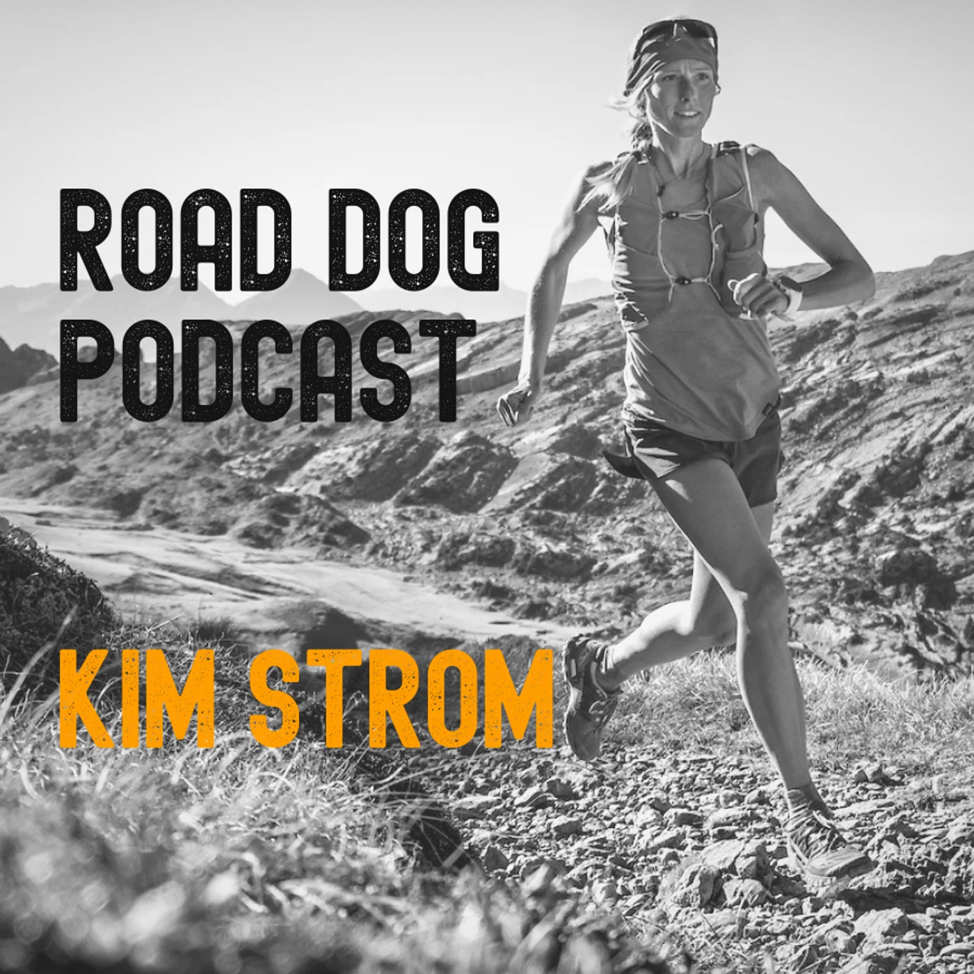 Road Dog Podcast