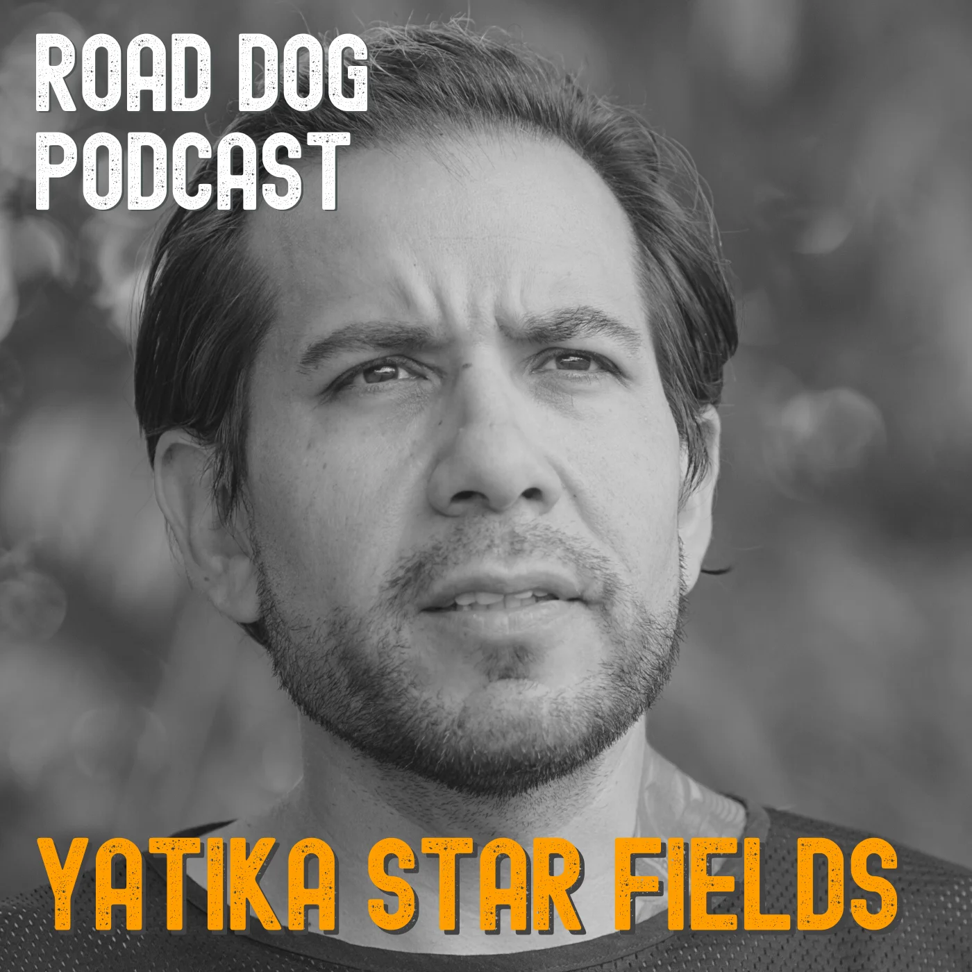 248: Yatika Star Fields Paints His Experiences