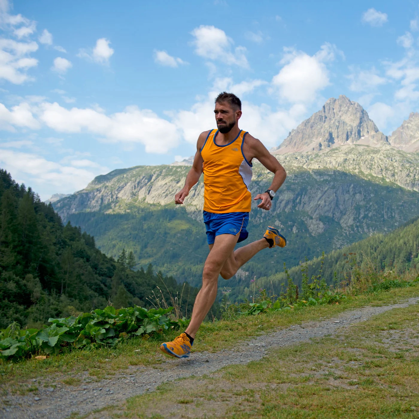 Hal Koerner's Field Guide to Ultra Running