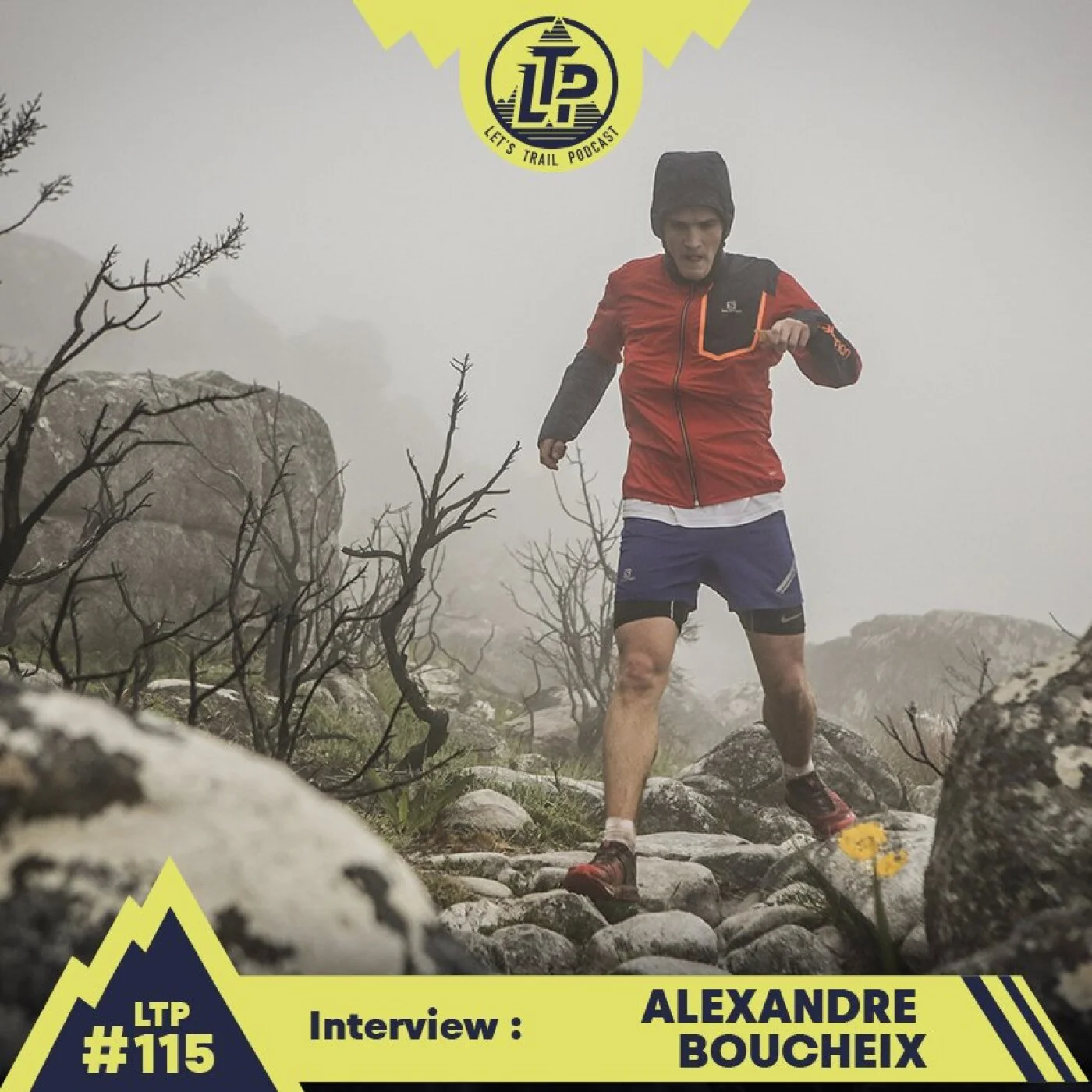 LTP#115 ALEXANDRE BOUCHEIX "ALEX" 😜