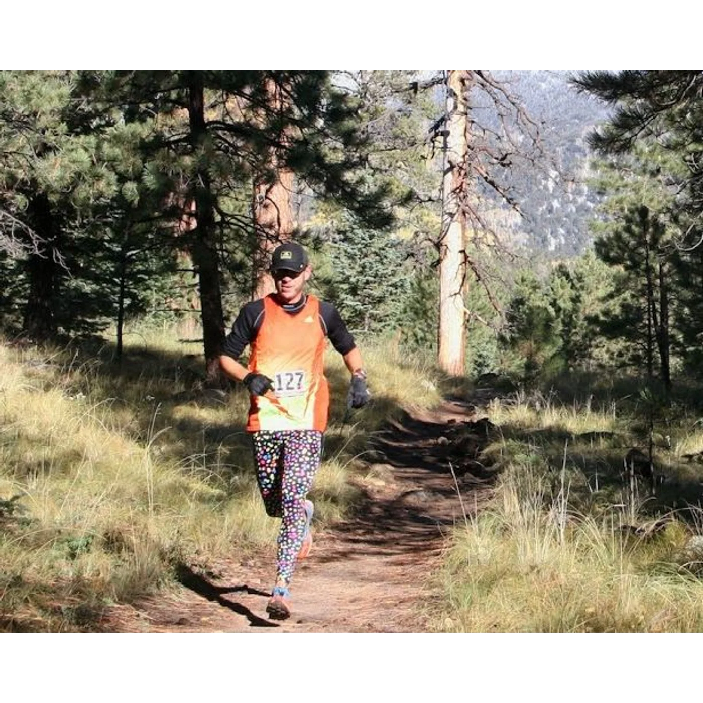 Ian Torrence - Building a Bonk Proof Body