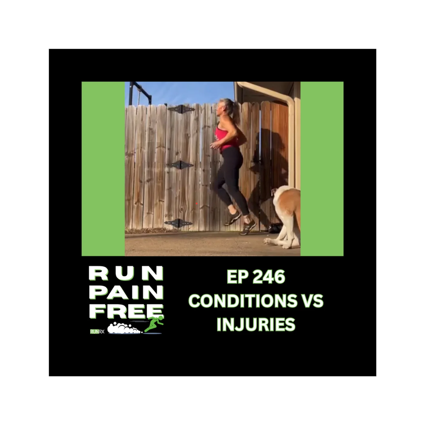 The RunRX Podcast