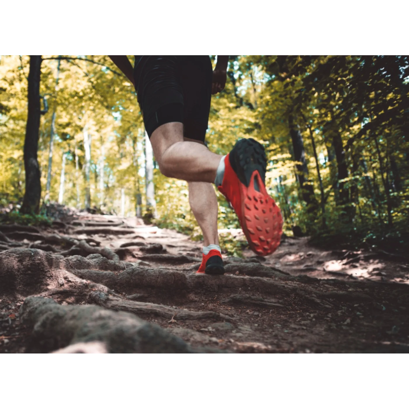 EP 668: Running with Science