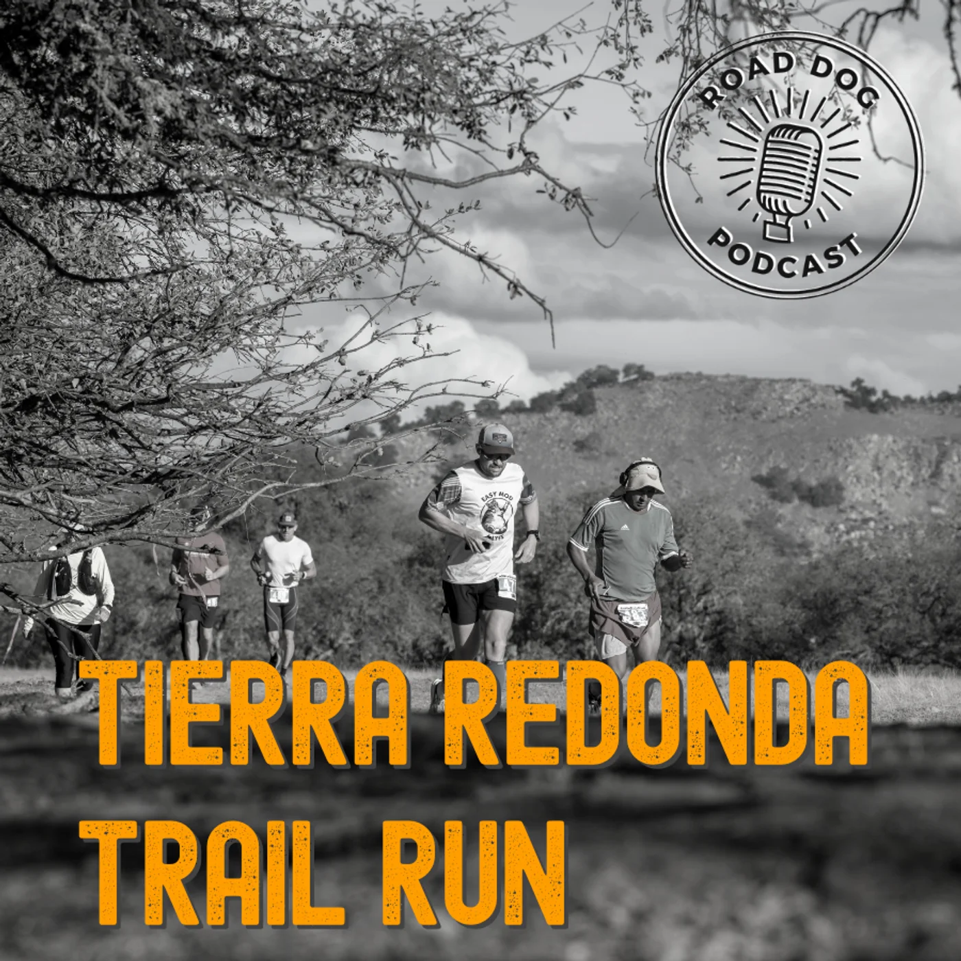 381: Tierra Redonda Trail Run