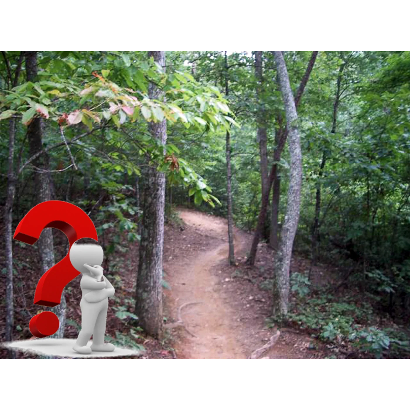 EP 472: Ten Things New Trail Runners Should Know