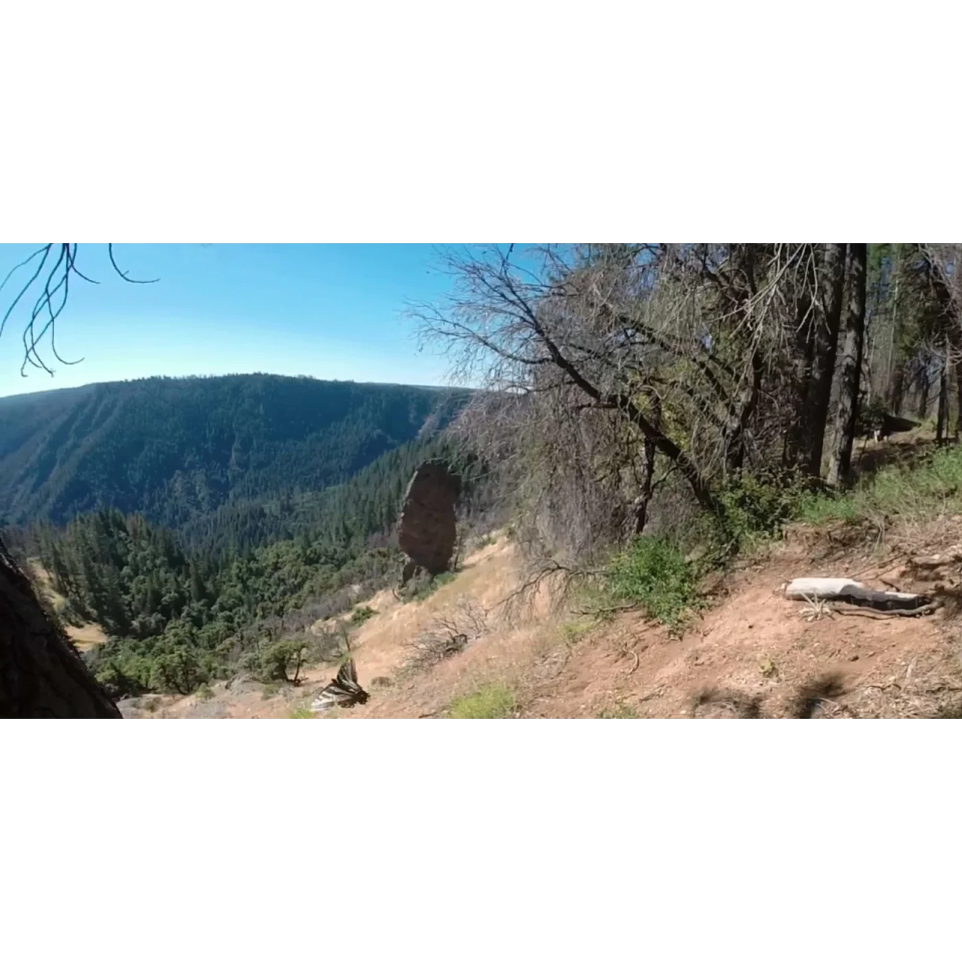Post Race Wrap Up- 2017 Western States 100
