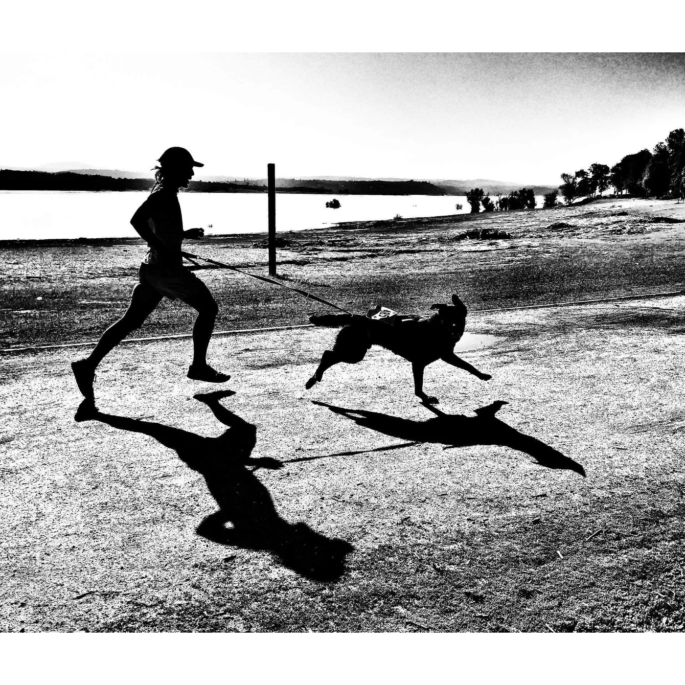 EP 478: Your Best Running Companion