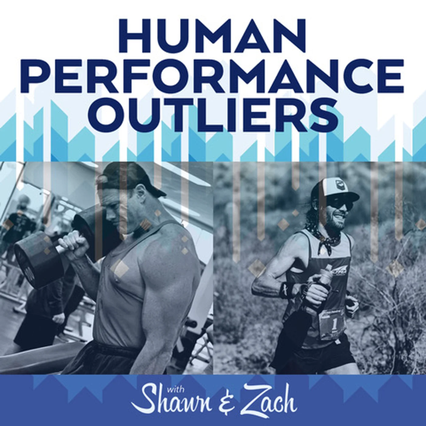 Episode 28: Michael Goldstein & Saif Ammous
