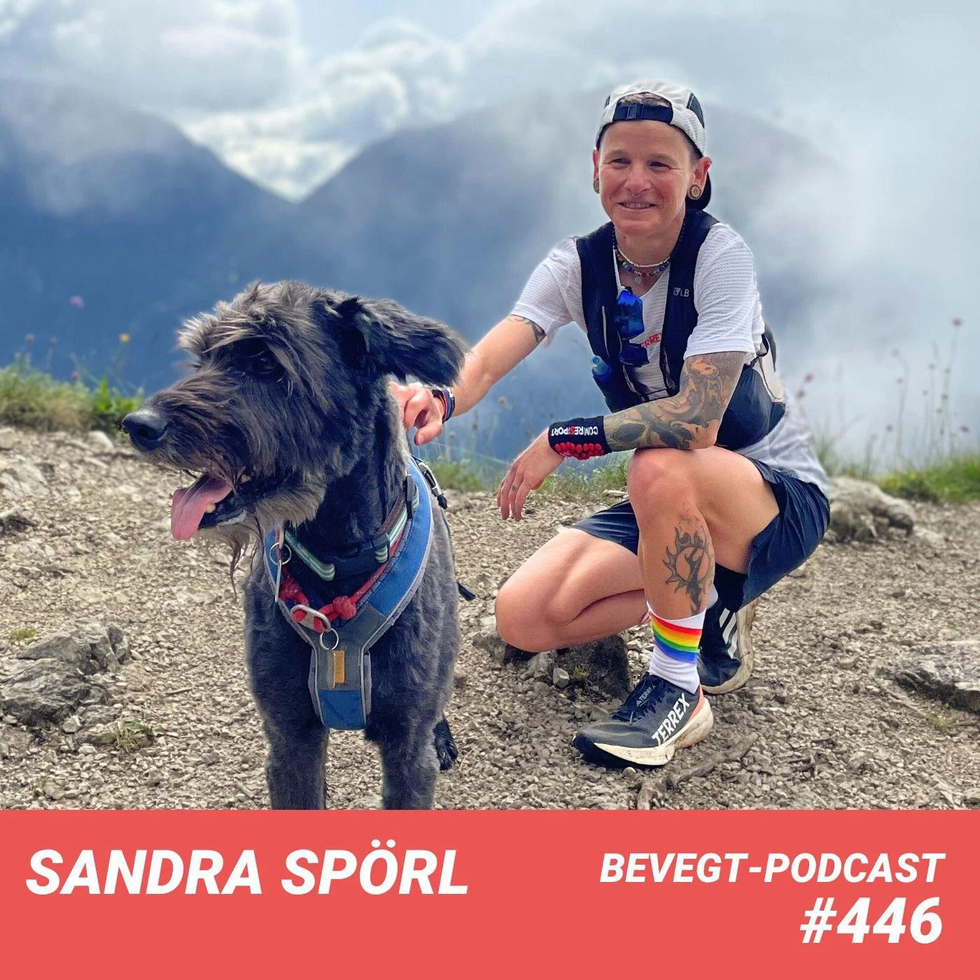 Der beVegt-Podcast | vegan leben und laufen