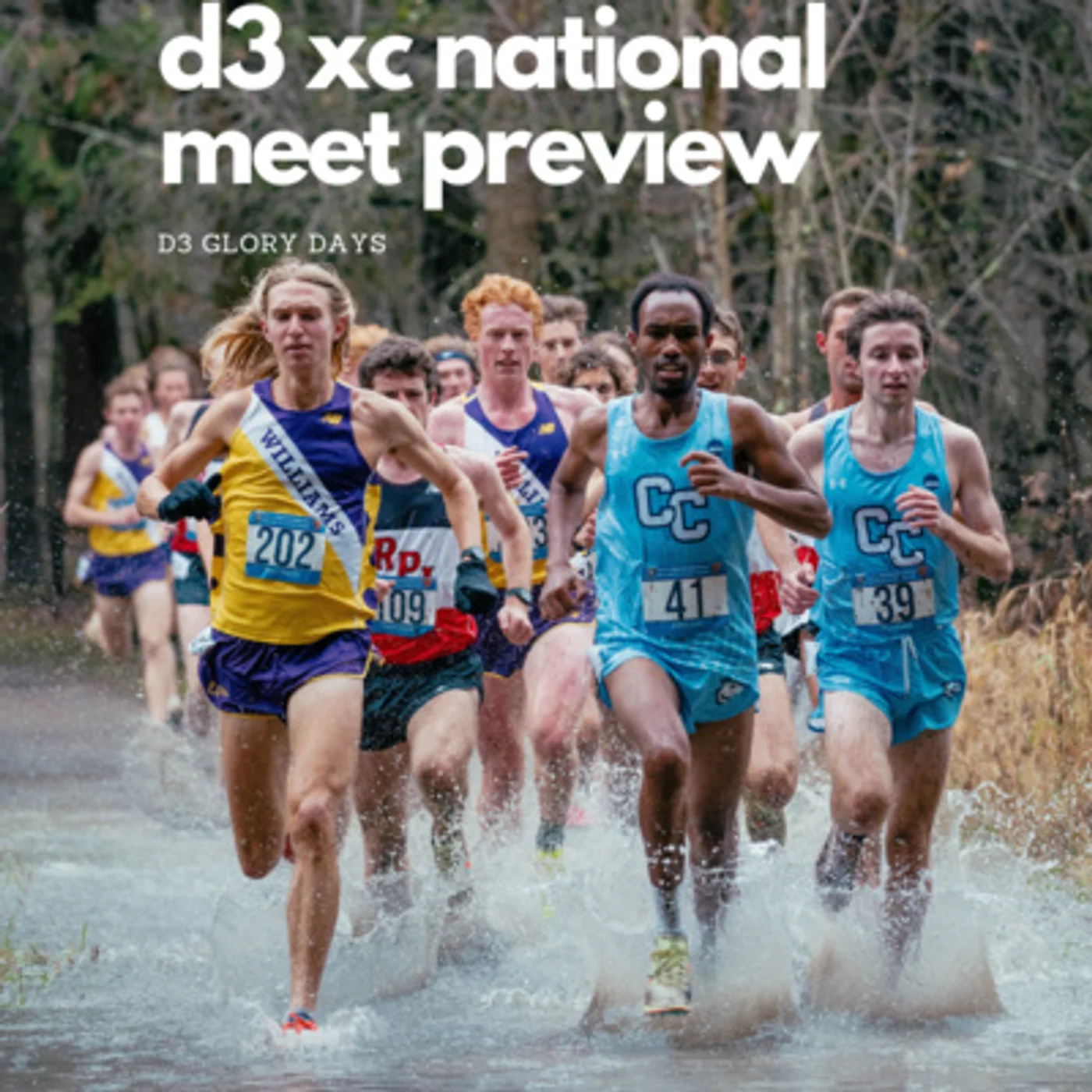 Episode 106 - D3 XC National Preview