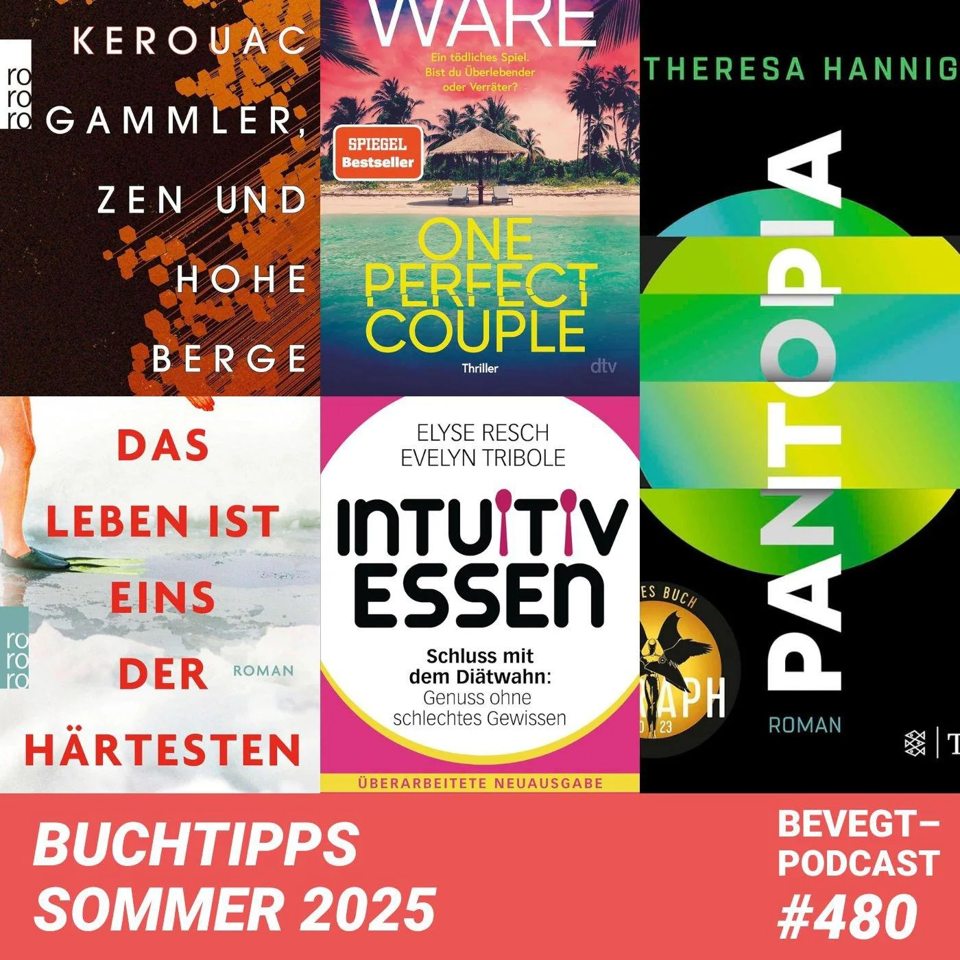 #480 - Klimawandel, KI und Kapitalismuskritik: 11 Buchempfehlungen für den Sommer