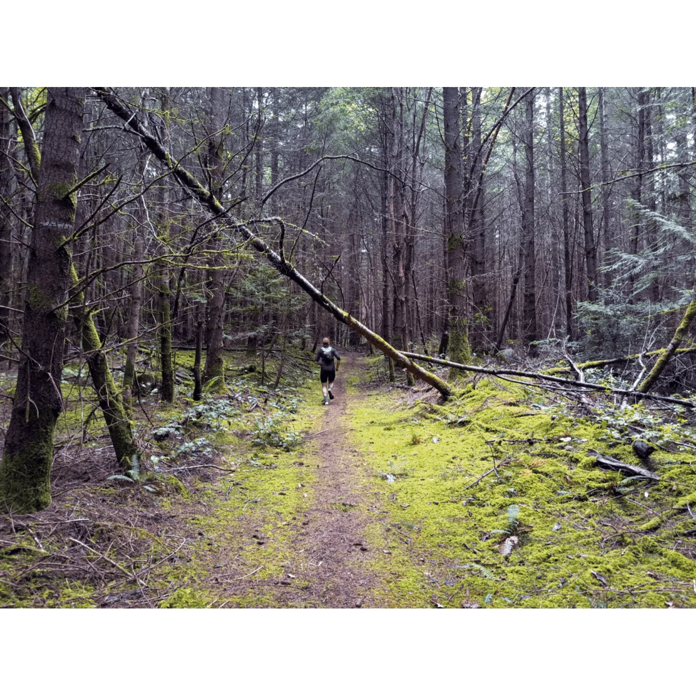 Ep. 15 Run to Galiano Island