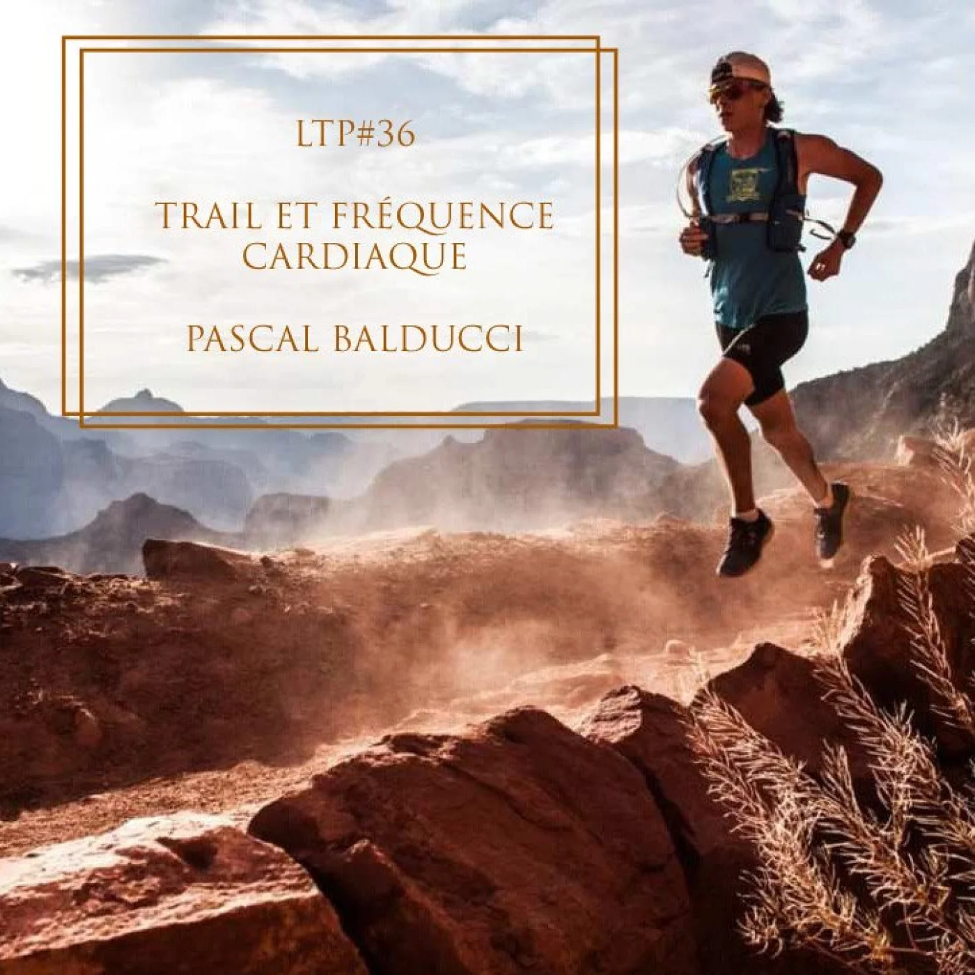 LTP#36 DEMANDE CONSEIL A PASCAL BALDUCCI - TRAIL ET FREQUENCE CARDIAQUE