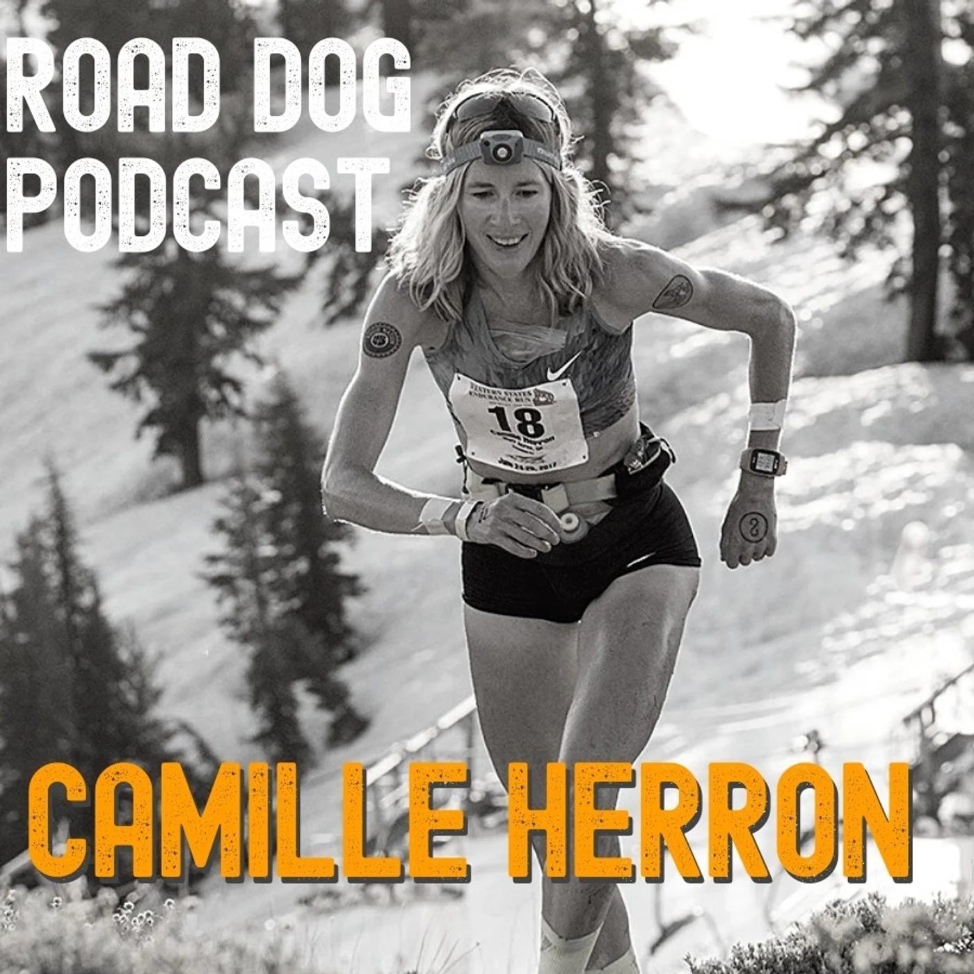 Road Dog Podcast