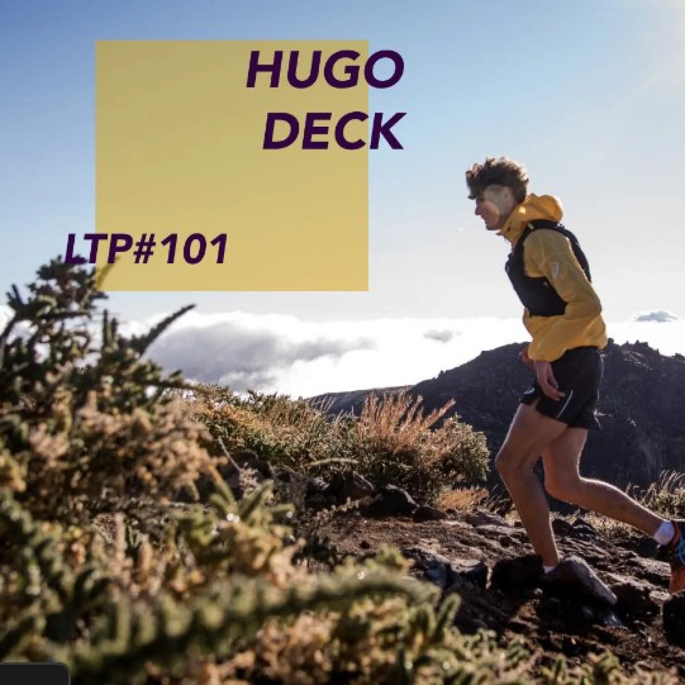 LTP#101 HUGO DECK "ULTRA JEUNE"