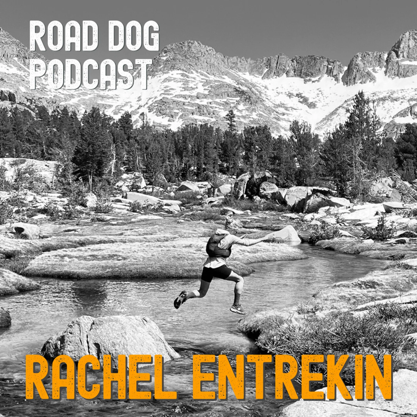 Road Dog Podcast