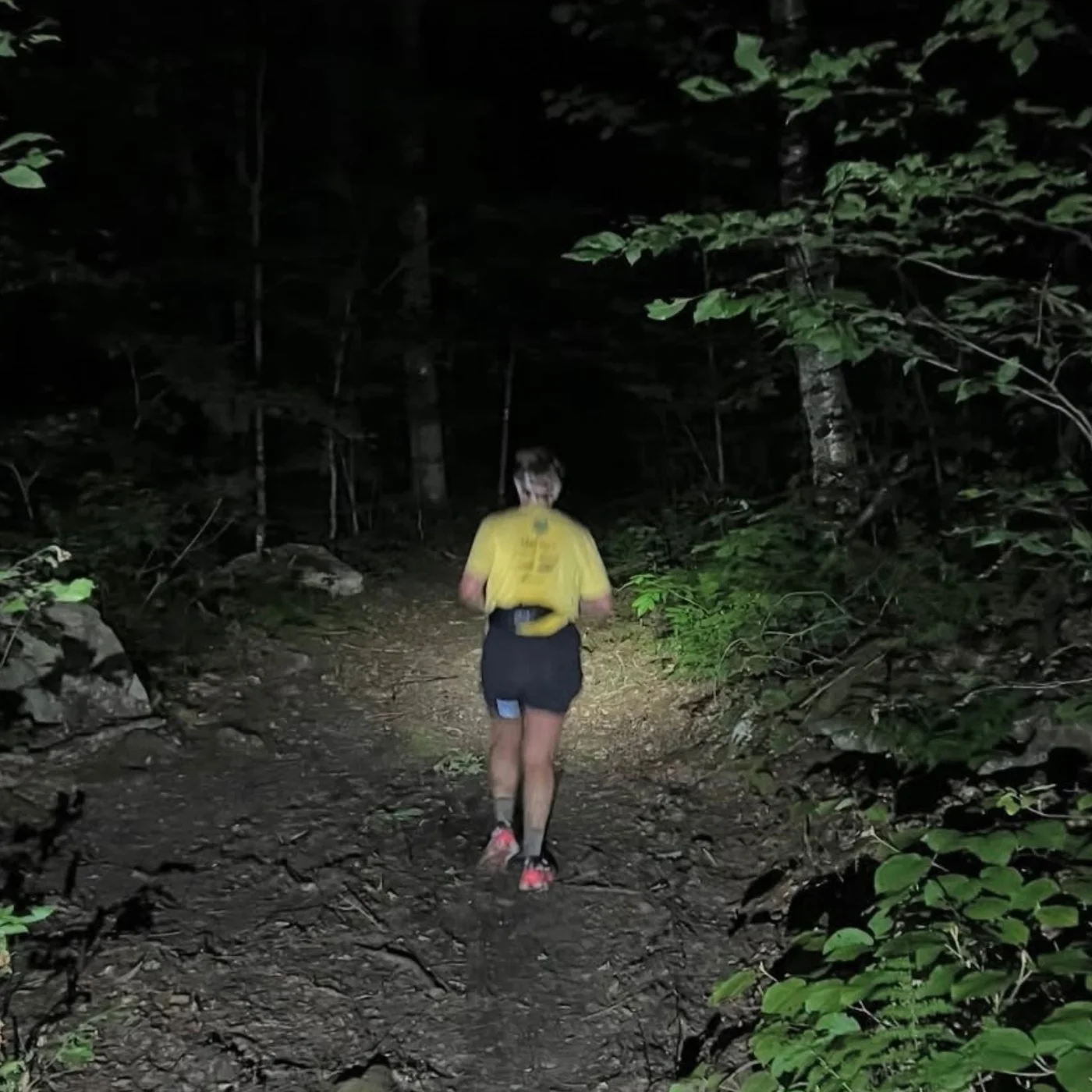 Into the second night! Arlee's VT FKT DNFFF