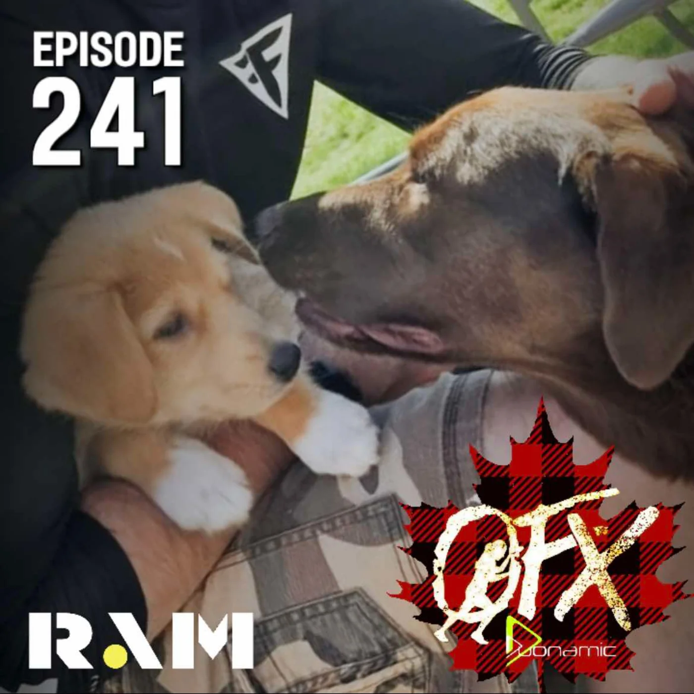 OFX EPISODE 241: HYROX LCQ.