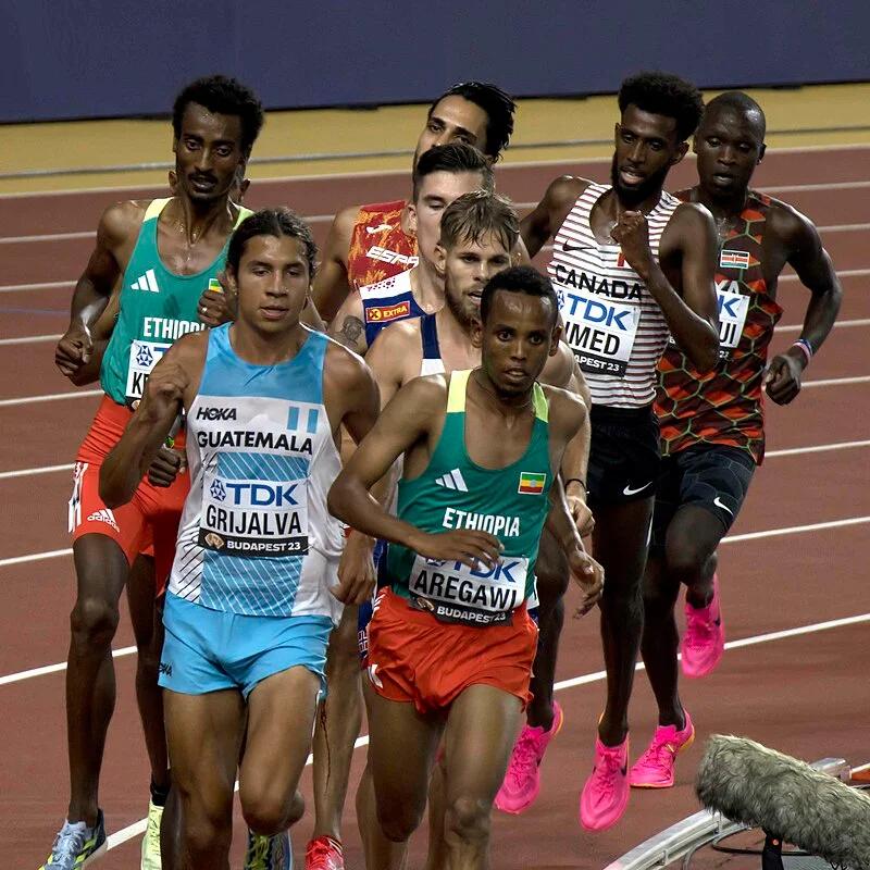 Berihu Aregawi