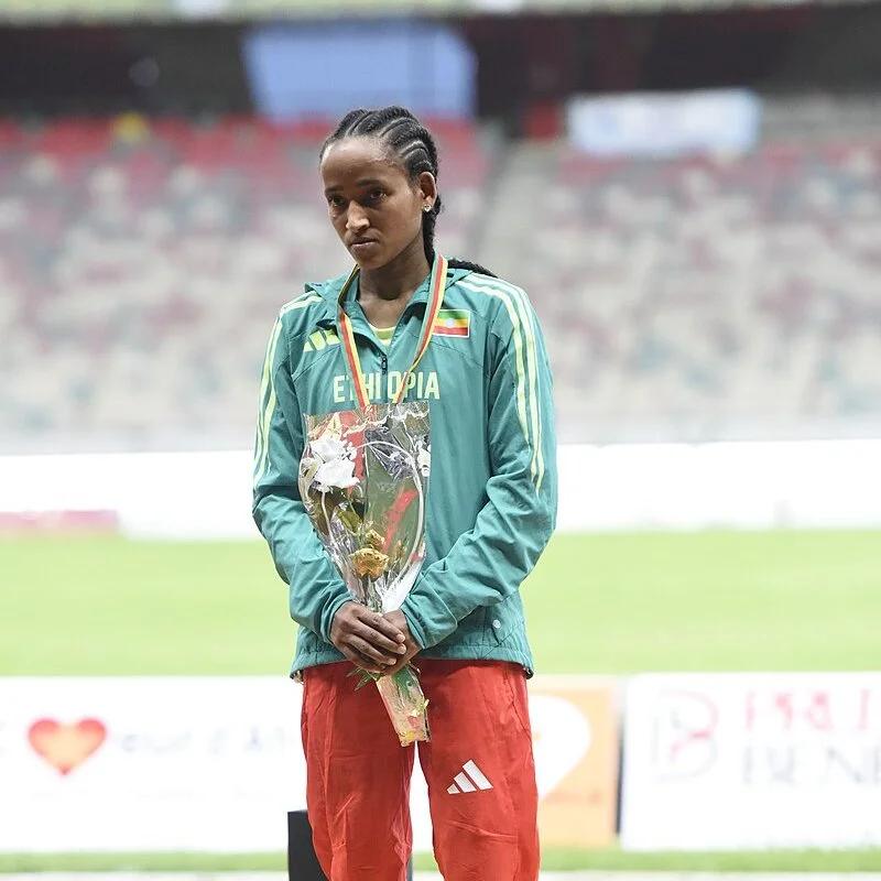 Gela Hambese