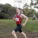 David Mcneill