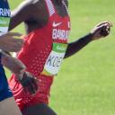John Koech