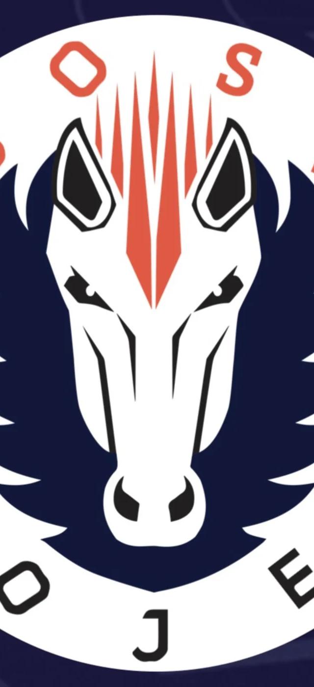 Roosey Project Podcast