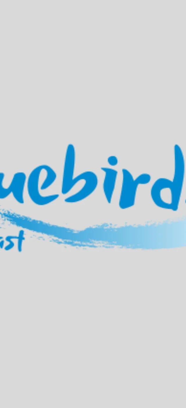 Bluebirds podcast